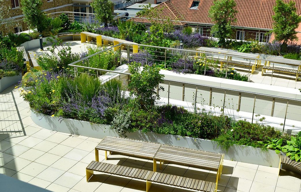 A healing and inclusive environment: Vroom tables and benches.