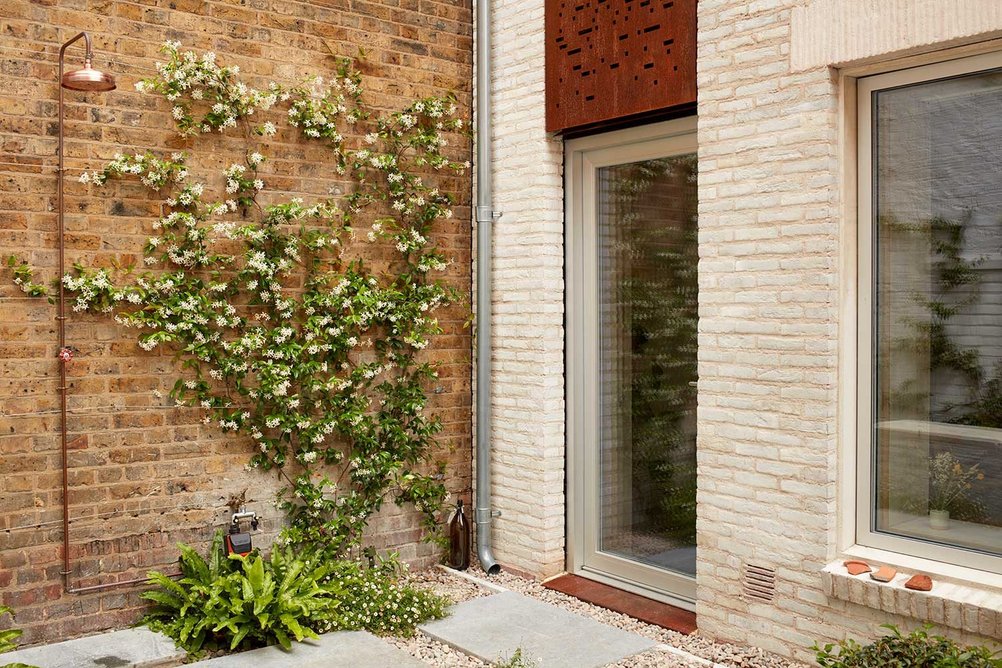 The Library House in Clapton, east London, by Macdonald Wright Architects