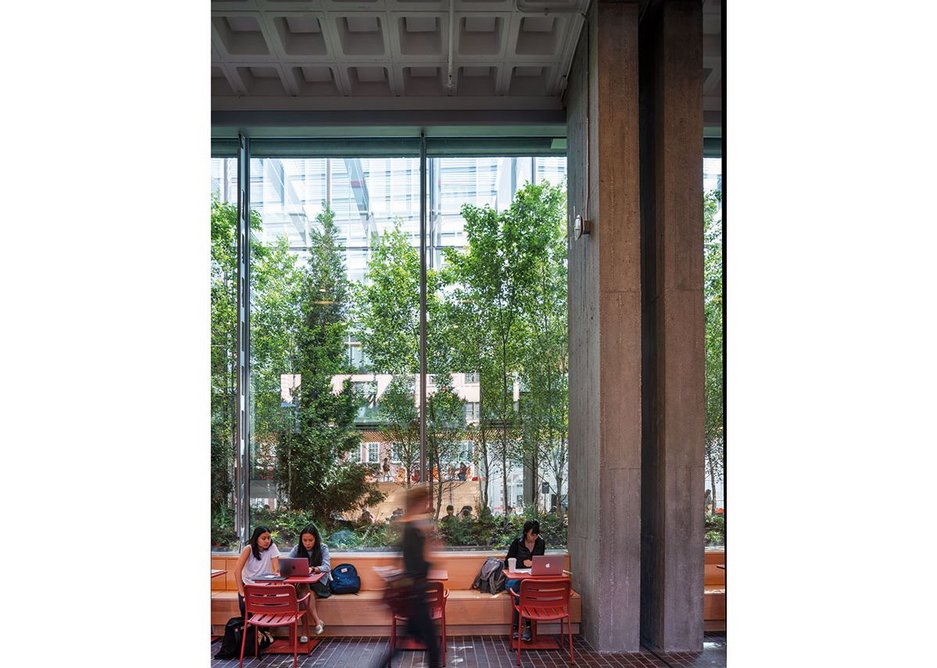 Now enclosed, the arcade links the Dunster Pavilion on one side and Harvard Commons on the other, beyond the leafy ‘vitrine’.