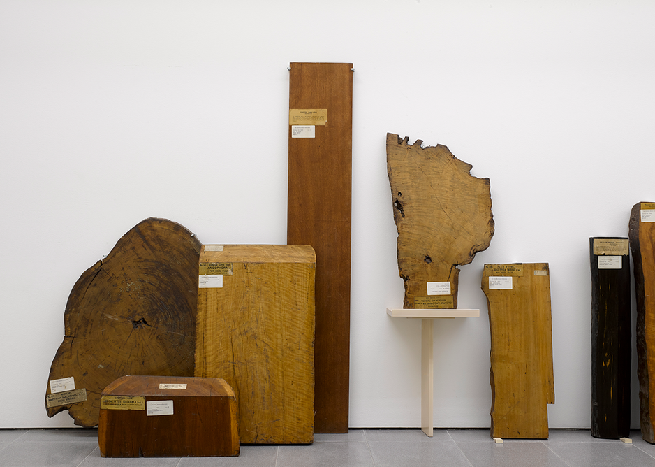 Installation view of Formafantasma: Cambio at the Serpentine Galleries, London. Photo credit: George Darrell. The display shows some of the larger samples from The archive of lost forests, 2020 the Economic Botany Collection at Kew Gardens