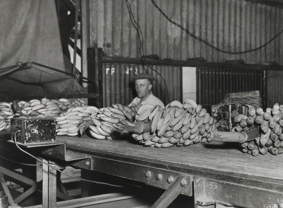 Imported bananas being handled at the Royal Docks,1930-1940