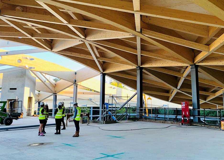 The massive timber roof of Felicity Meares' project, St George’s College Activity Centre.