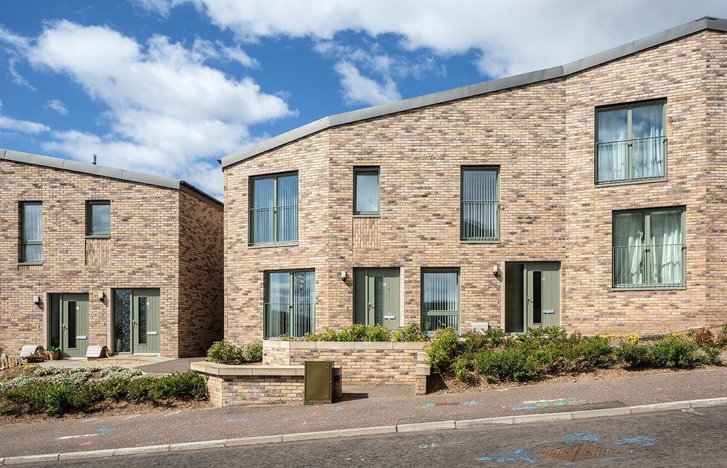 Ellengowan Regeneration.