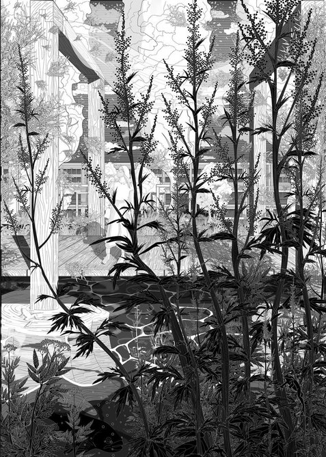 Here-East wetland rehabilitation. 594mm x 841mm. Adobe Photoshop and Rhino