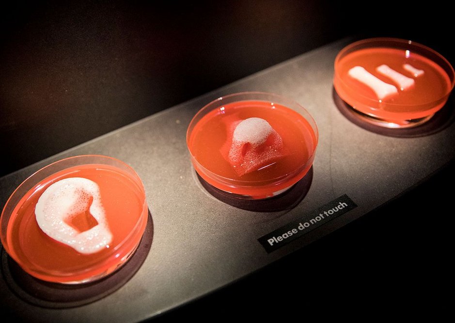 3D printed organ scaffolds. Wake Forest Institute for Regenerative Medicine, from AI: More than Human, Barbican Centre, until August 26, 2019.