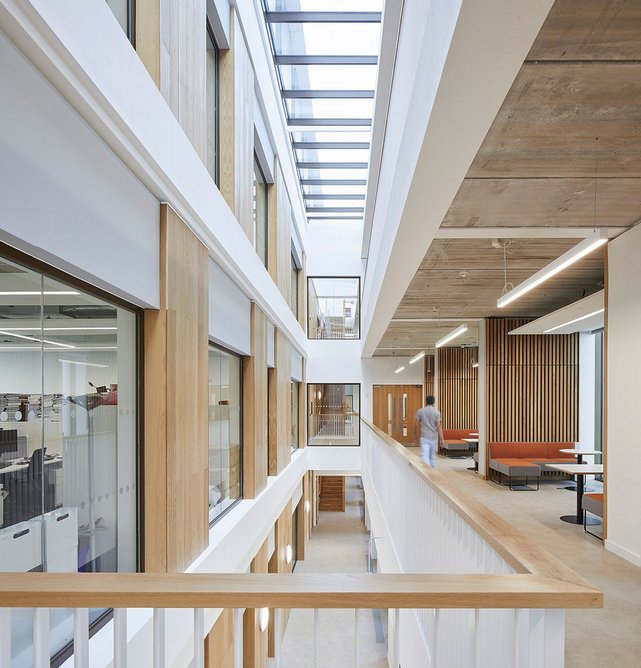 Timber-lined meeting areas align the top-lit principal circulation route.