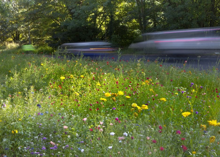 Verges of Colour by Richard Wood.