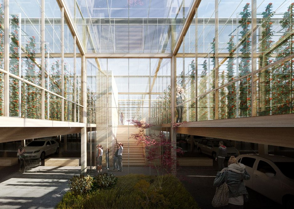 Shaw Studio's timber urban farm proposal is part of creating a sustainable and greener food economy.