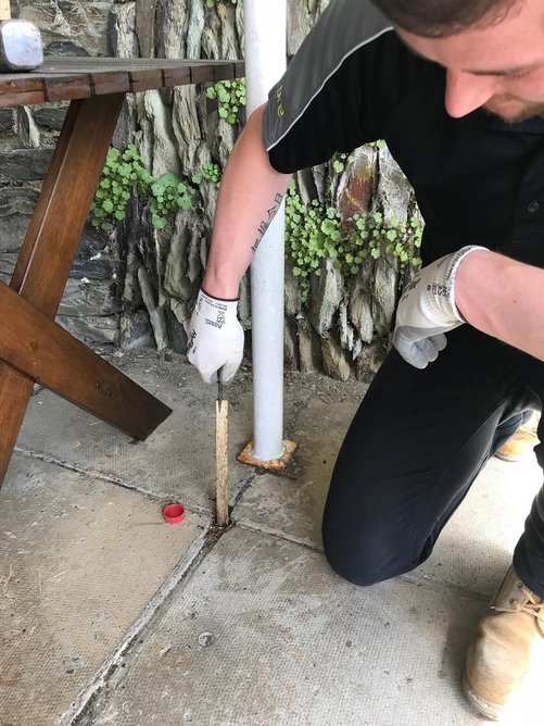 Timber bait being removed for inspection from a supplementary monitoring device that goes 1m vertically into the ground.