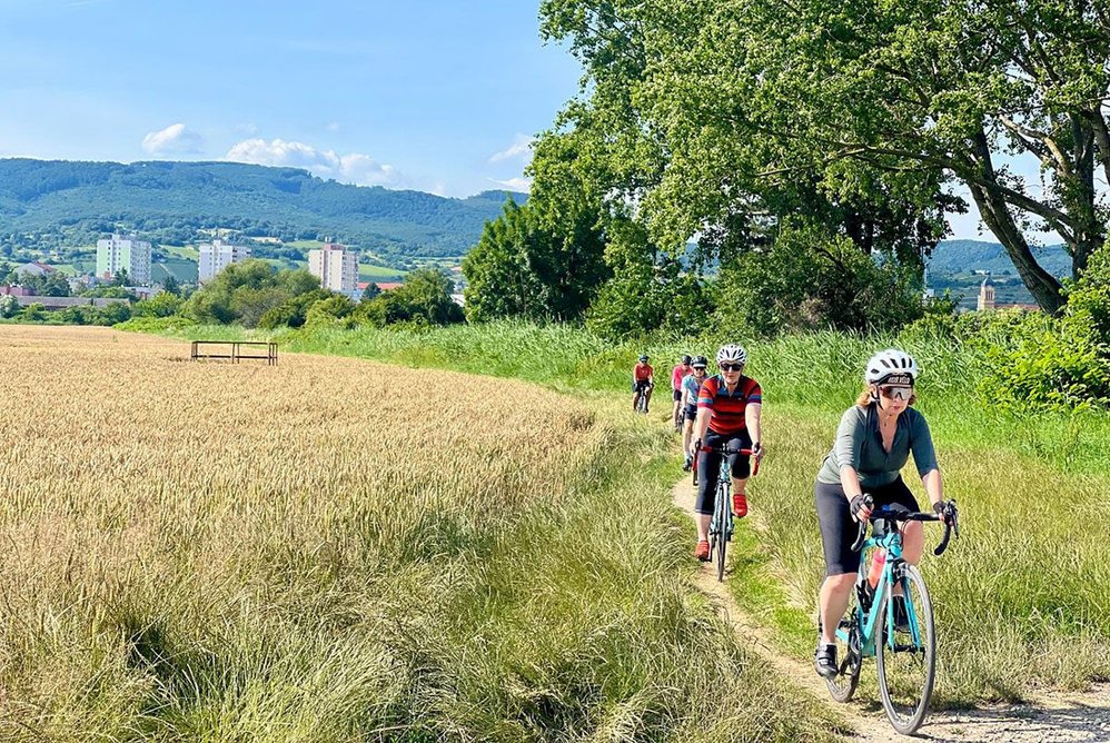 Rural cycle path with village tower blocks in distance.