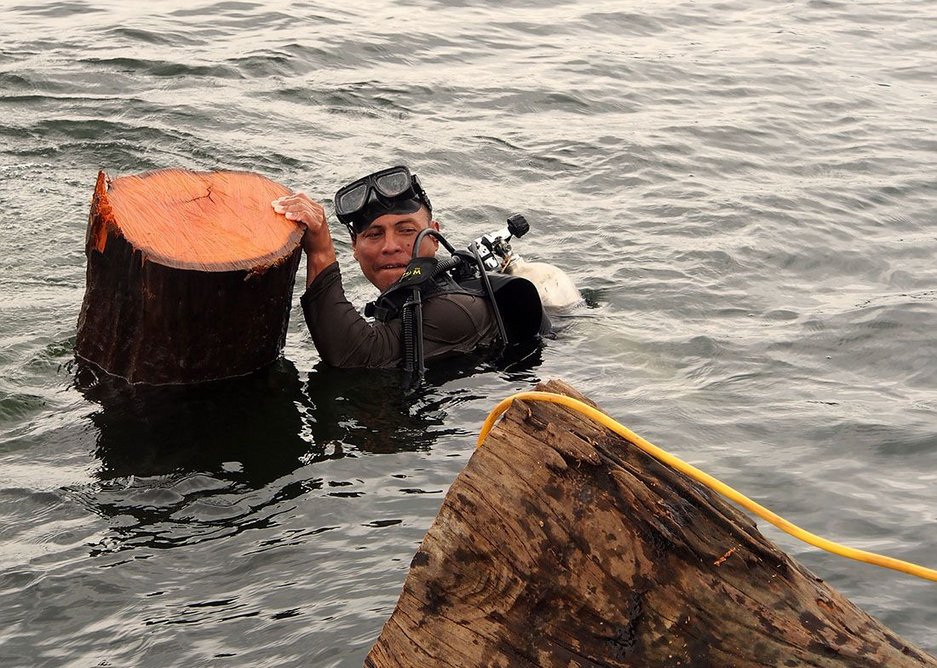 A diver brings up a felled log.