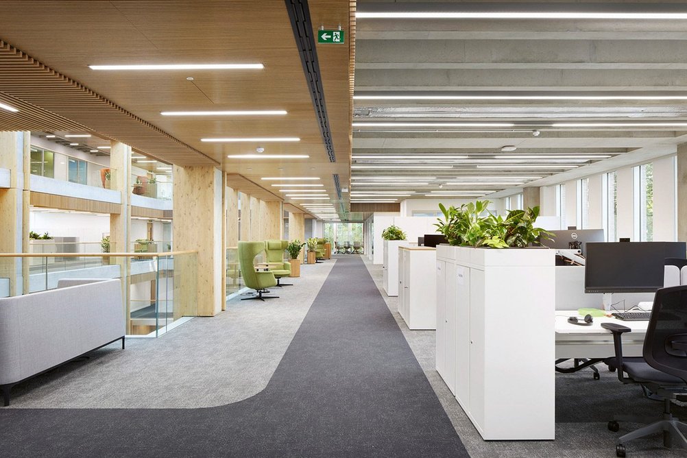 Soft flooring in the office areas provides comfortable acoustic conditions in response to the open atrium.