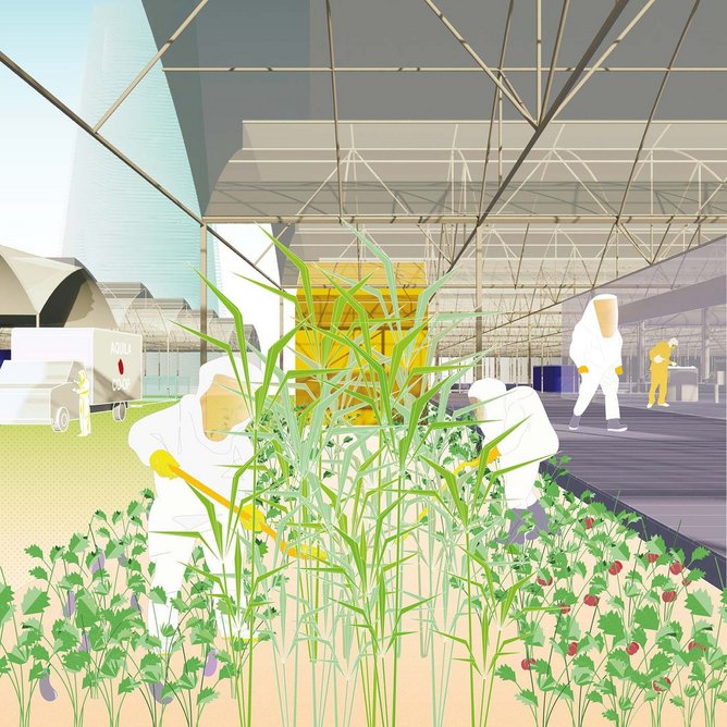 Concept for Agro Commune developed by Stephanie Kyuyoung Lee in 2020.