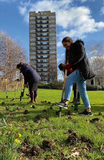 Community bulb planting at Swedenborg Gardens, Tower Hamlets, London where JTP is one of the partners in improving the gardens.