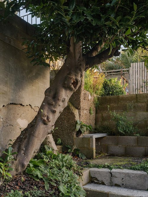 Hastings House by Hugh Strange Architects. Credit: Rory Gaylor