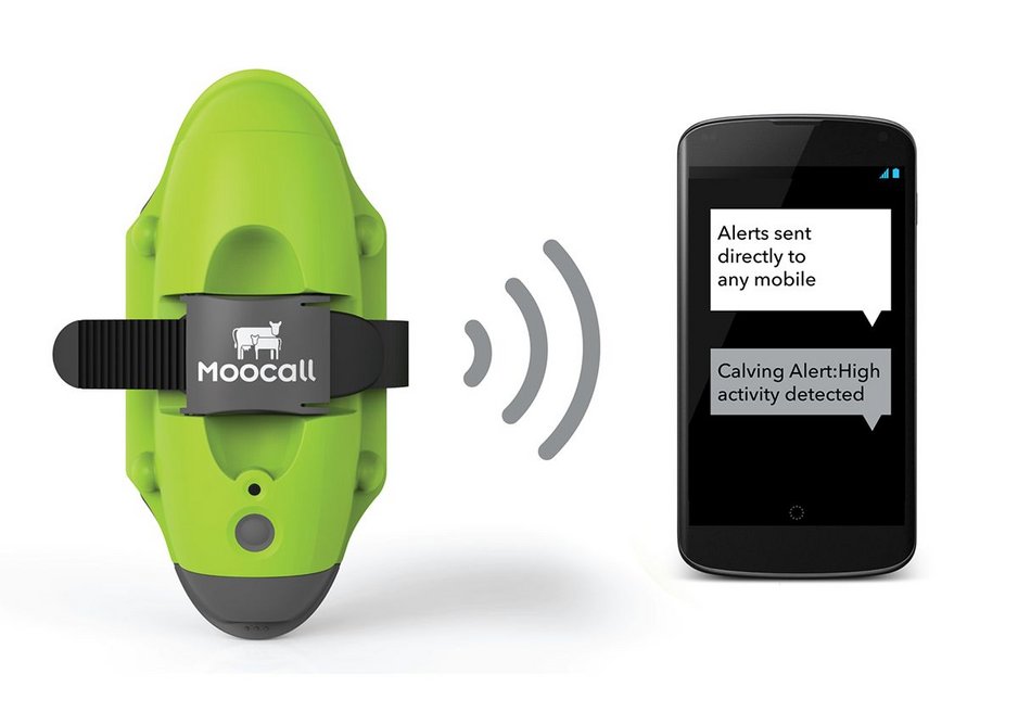 Moocall SMS Calving Alert Sensor by Dolmen