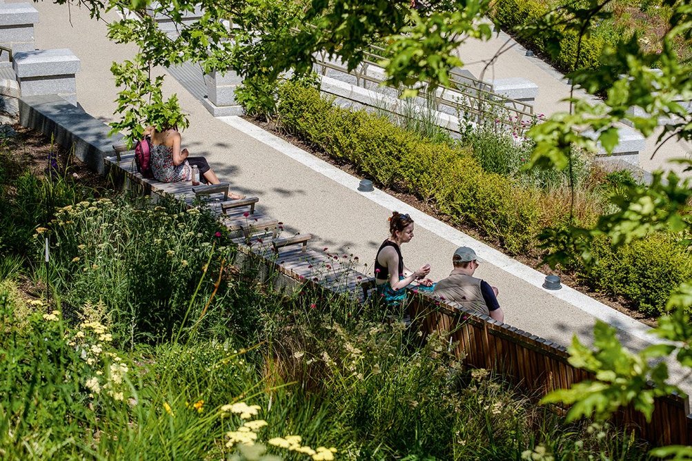 The ramped path acts as an amphitheatre, with clear views over the lawn and as a space to enjoy the more varied and resilient contemporary planting.