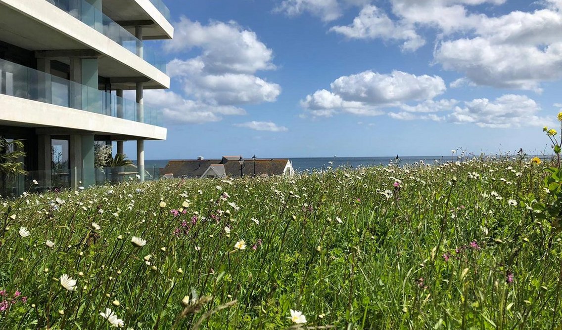 Sika biodiverse green roofing system at The Liner holiday accommodation, Falmouth.