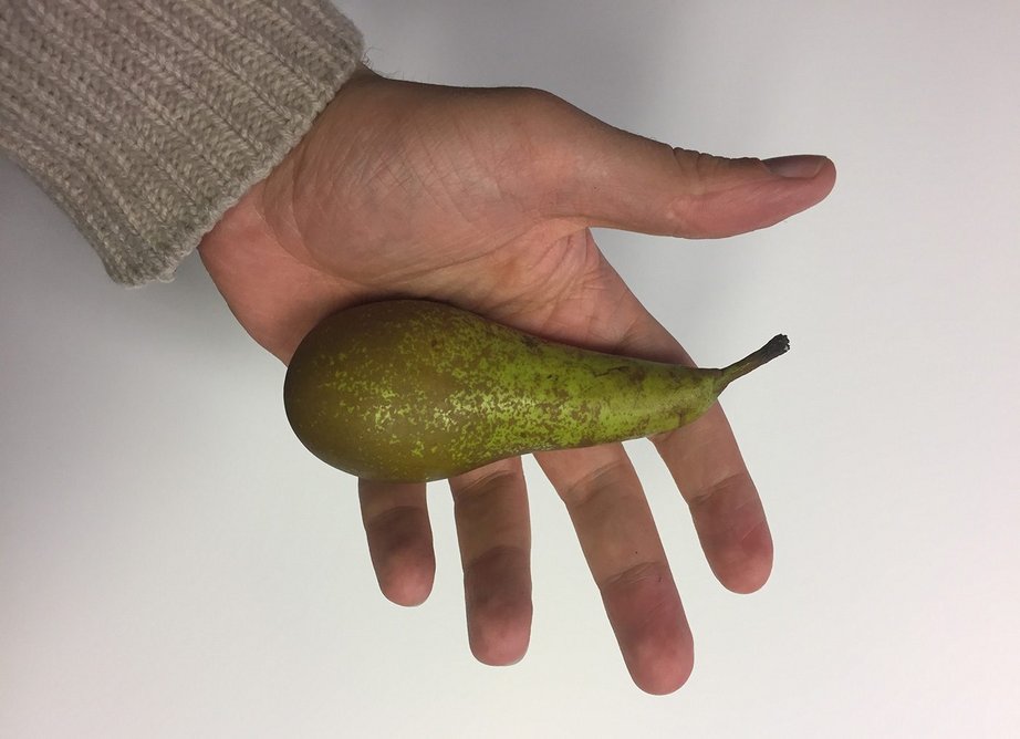 A pear was the inspiration for the form of the handle.
