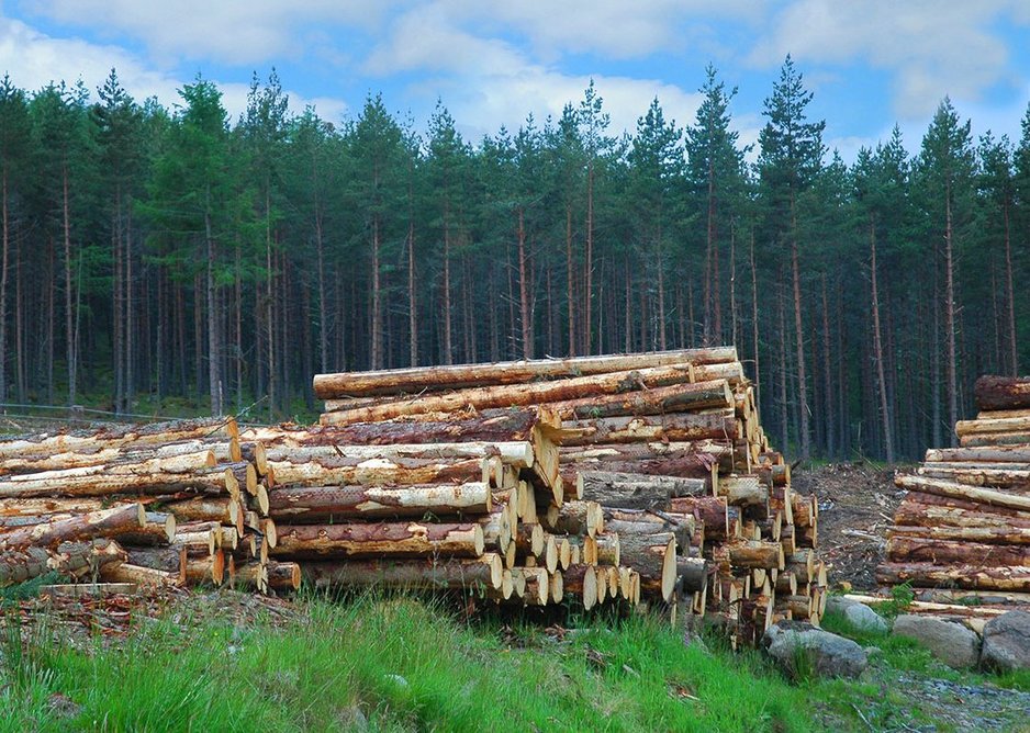 Increasing the use of Scottish timber in construction could lower costs and create green jobs.