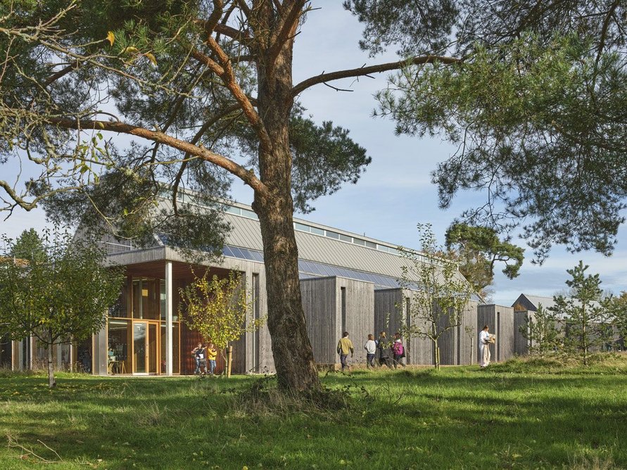 The Orchard Building, Bedales School, Petersfield, by Walters & Cohen, 2005.