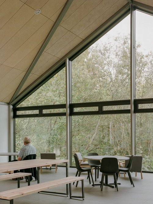 You can almost touch the tree branches of the woodland from the café.