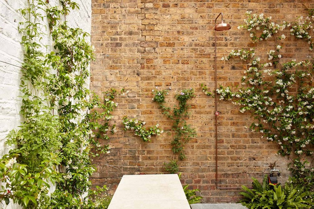 The Library House in Clapton, east London, by Macdonald Wright Architects