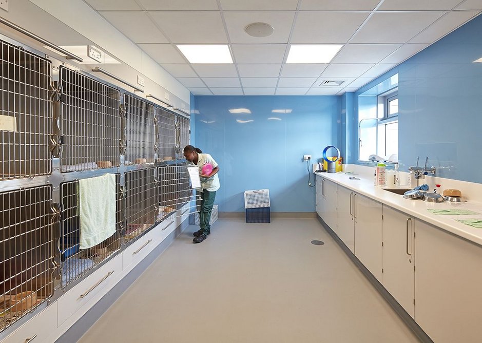 One of the surgery recovery rooms in the new veterinary hospital.