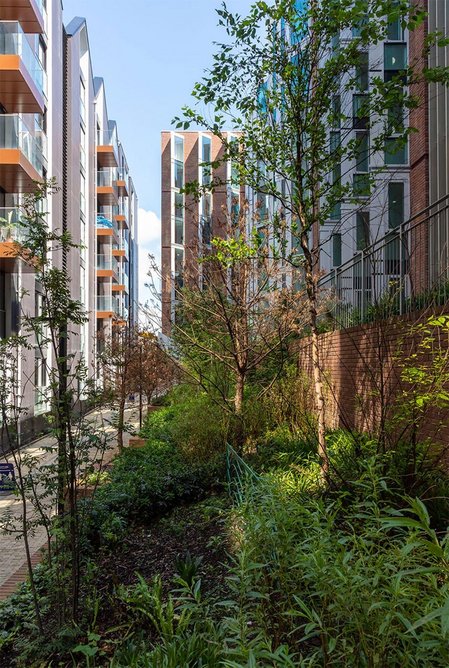 Landscaping between the private residential blocks and the brick-faced student accommodation, whose angled windows are designed to maximise daylight and privacy for nearby residents, and lend texture to the facades.