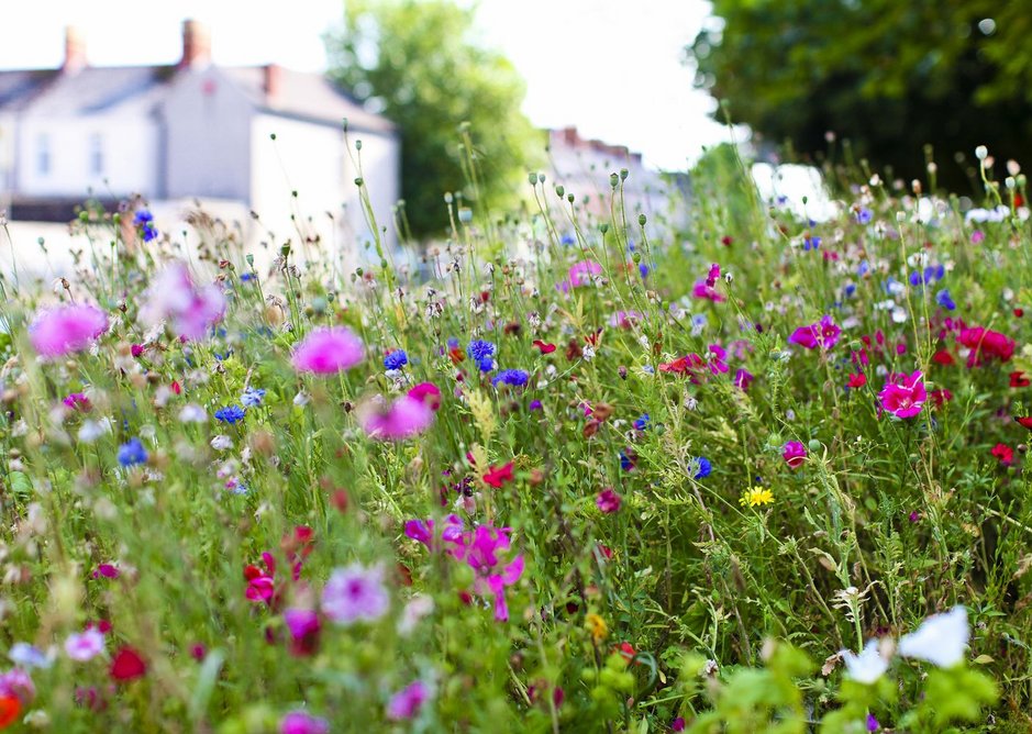 Richard Wood Flowers.