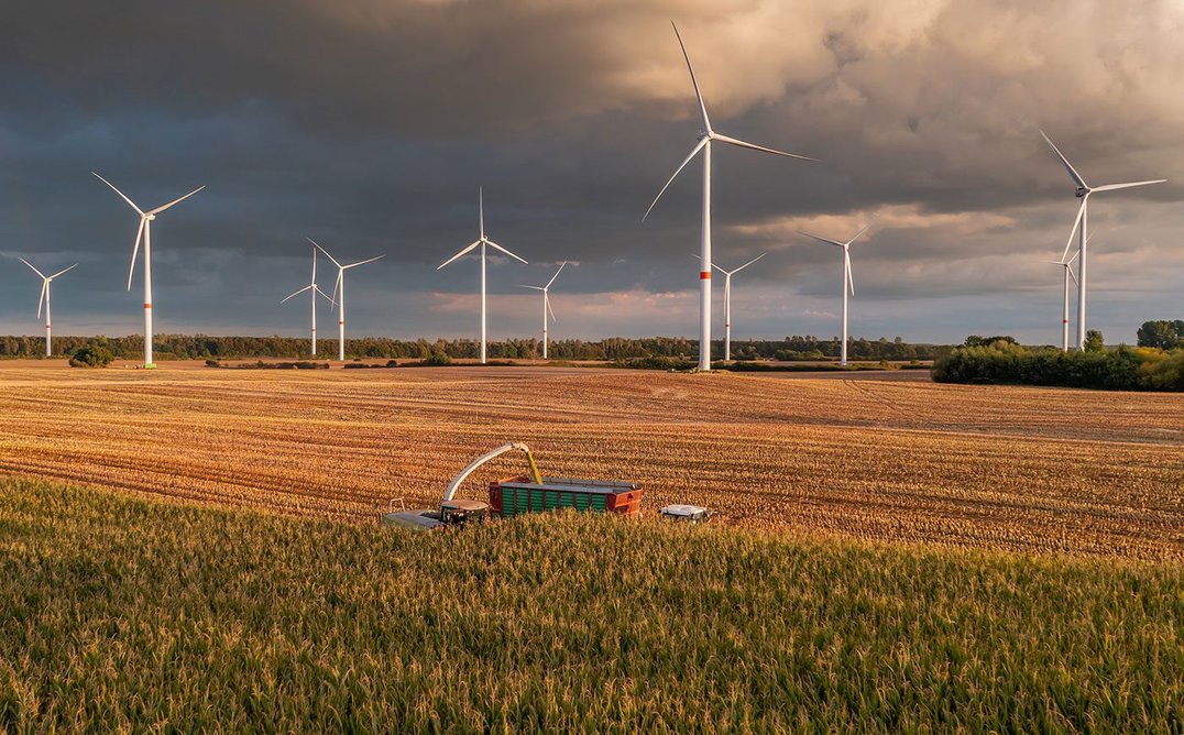 Fuelling the future: sustainable materials from biomass crops.