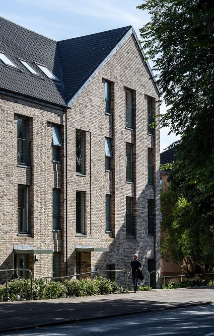 Ellengowan Regeneration.