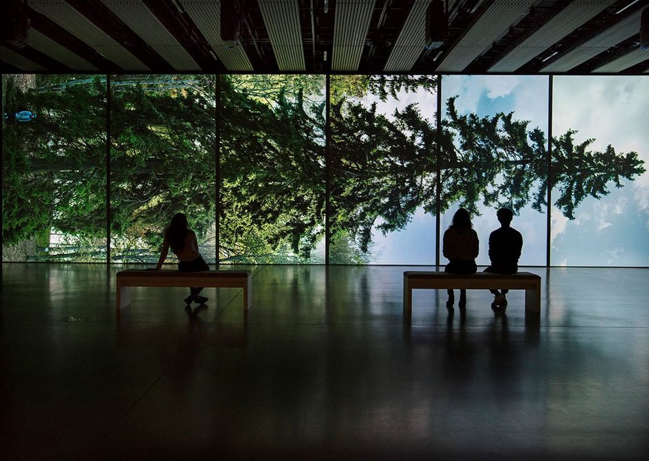 Eija-Liisa Ahtila, Horizontal - Vaakasuora, 2011, at Among the Trees, Hayward Gallery, 2020.