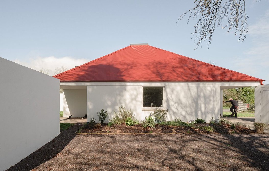 Details are suppressed to preserve the striking overall form.