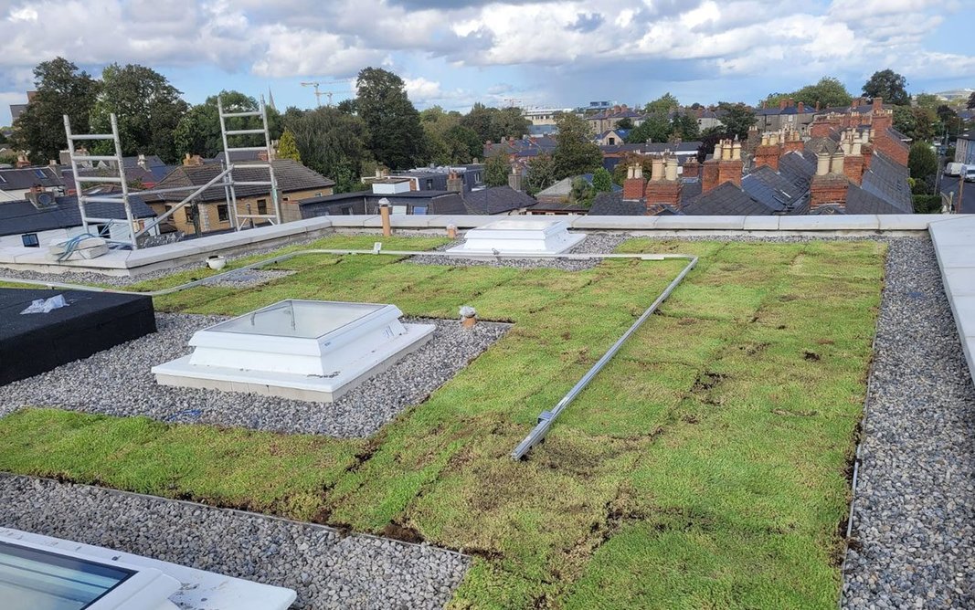 The ultimate sustainable urban drainage system - on a roof - also cools the building in summer, provides biodiversity and reduces the urban heat island effect.