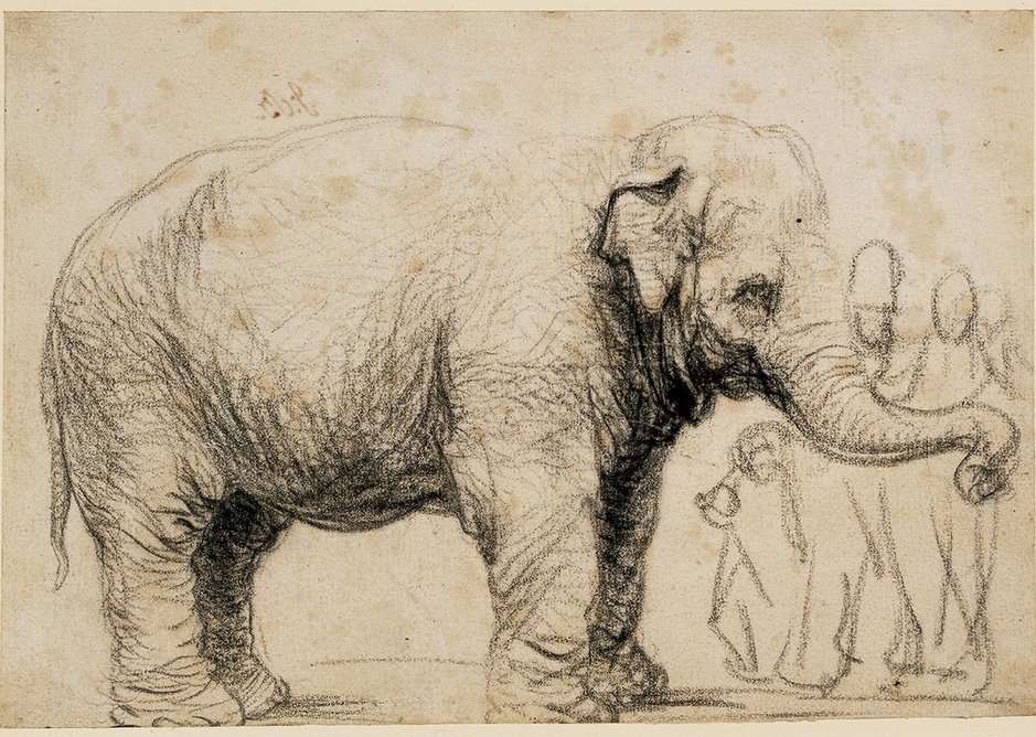 And out at the Brynmor Jones Library at Hull University, Rembrandt's Asian Elephant is part of a fine show of drawings.