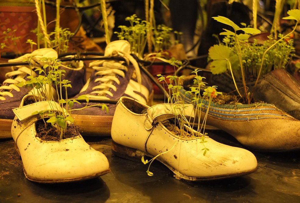 Postcards from the Future (2013), a stage set where plants grew in donated shoes.