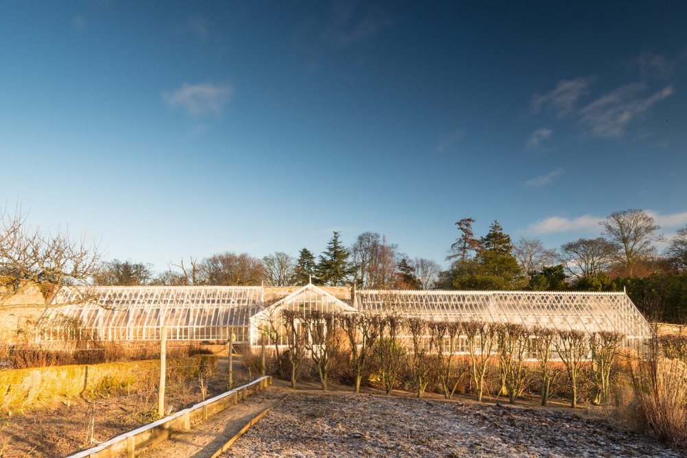 Alitex lean-to glasshouses at Cambo Walled Garden, considered to be one of the finest in Scotland..