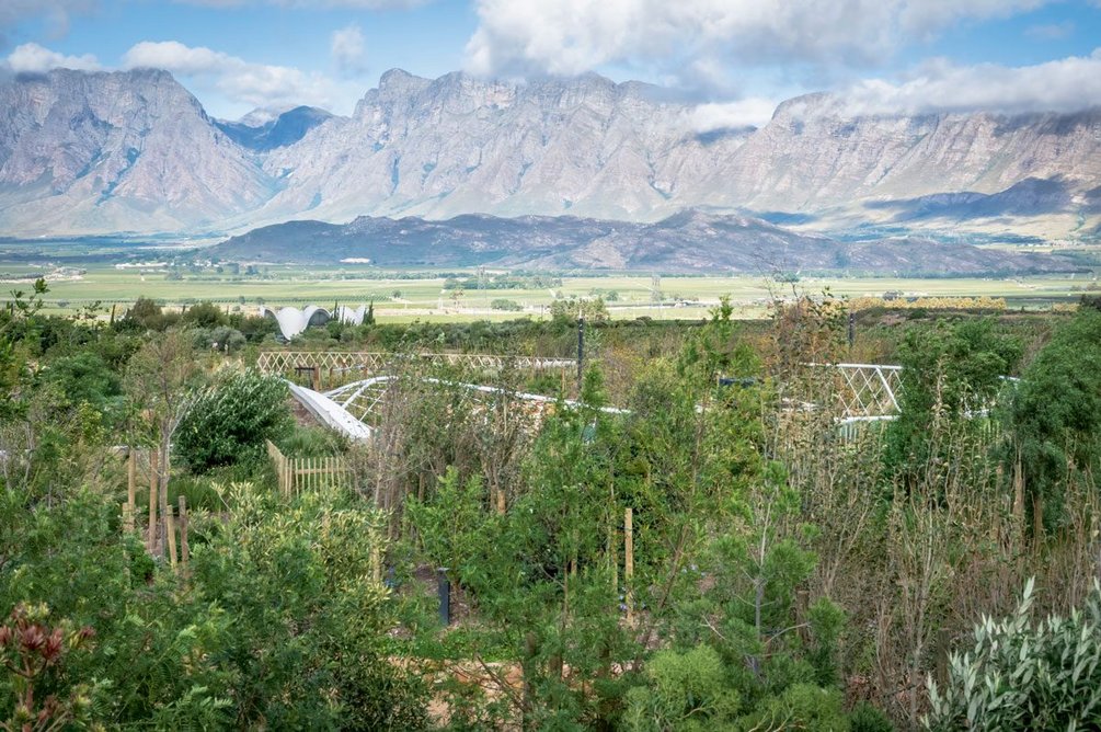 A glimpse of Steyn Studio’s 2017 Bosje Chapel sited on the edge of the reinvigorated landscape, beyond the trellis-work of the new sunken cafe.