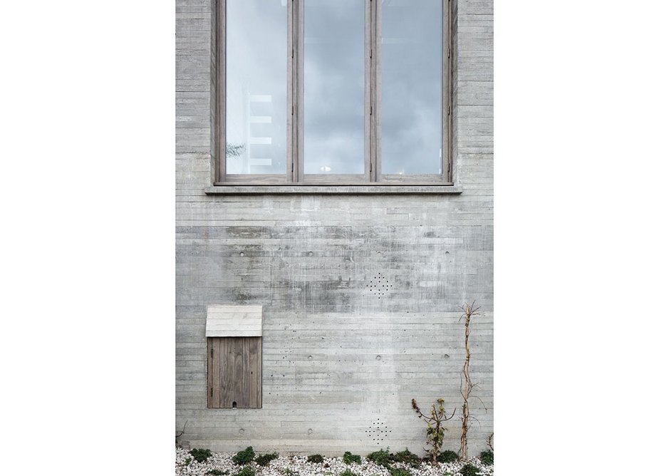 The concrete walls of the Juergen Teller Studio with their nascent planting, before it had time to colonise the studio.