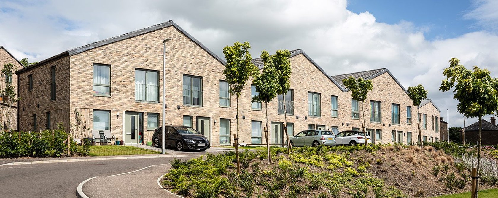 Ellengowan Regeneration.