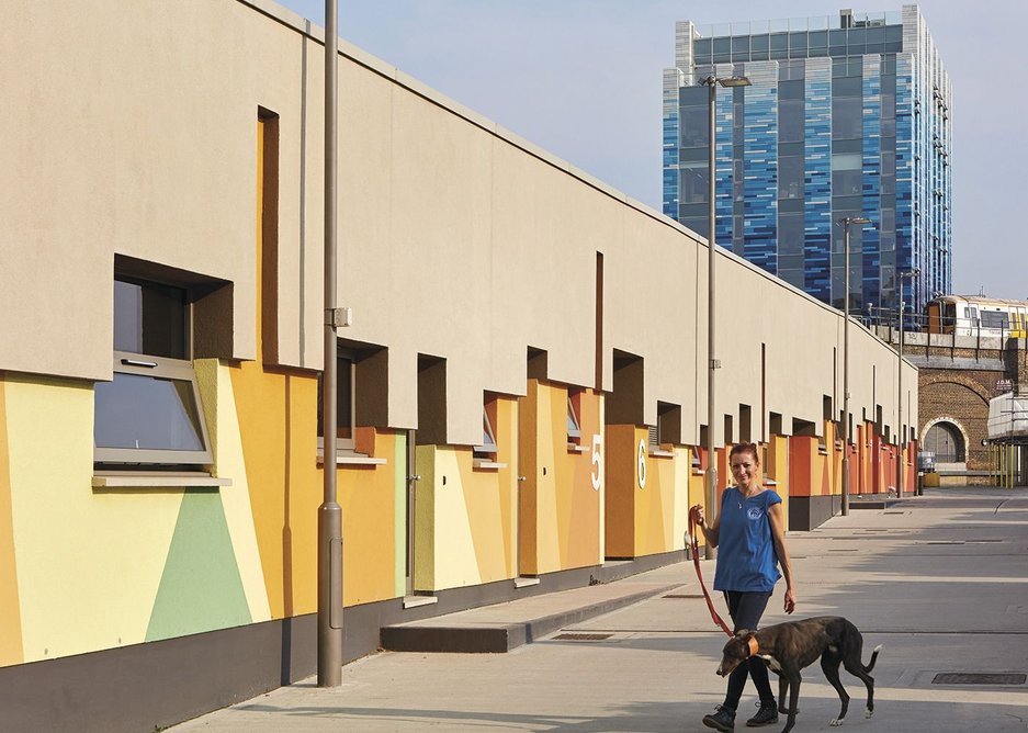 The intake kennel block with the blue Veterinary Hospital and Centre of Excellence building behind.