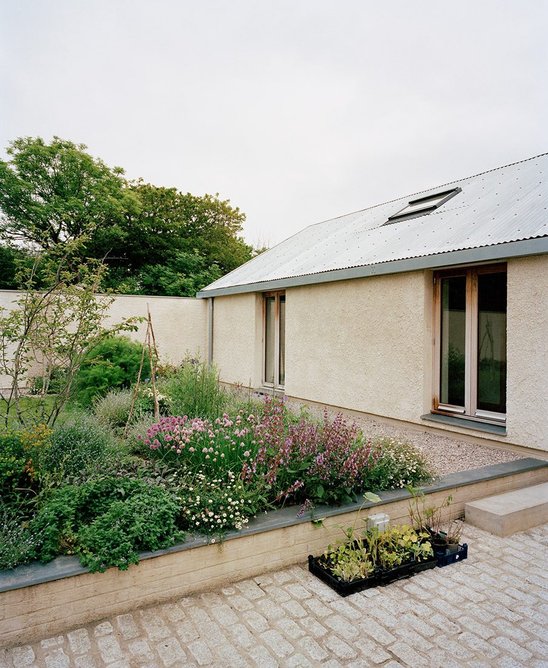 View of courtyard planting.