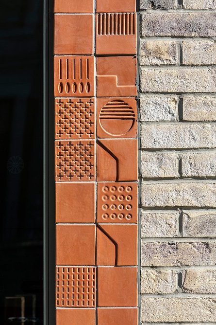 Ellengowan Regeneration.