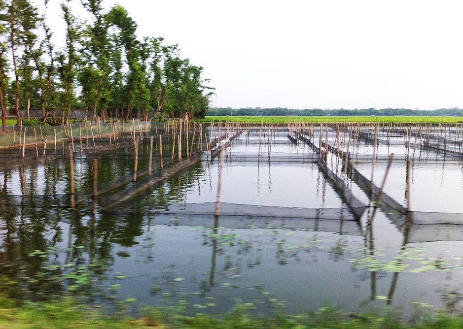 The Rajapur village communities embrace water and the rainy season in agriculture  with irrigation of rice fields, while seeking protection from extreme flooding