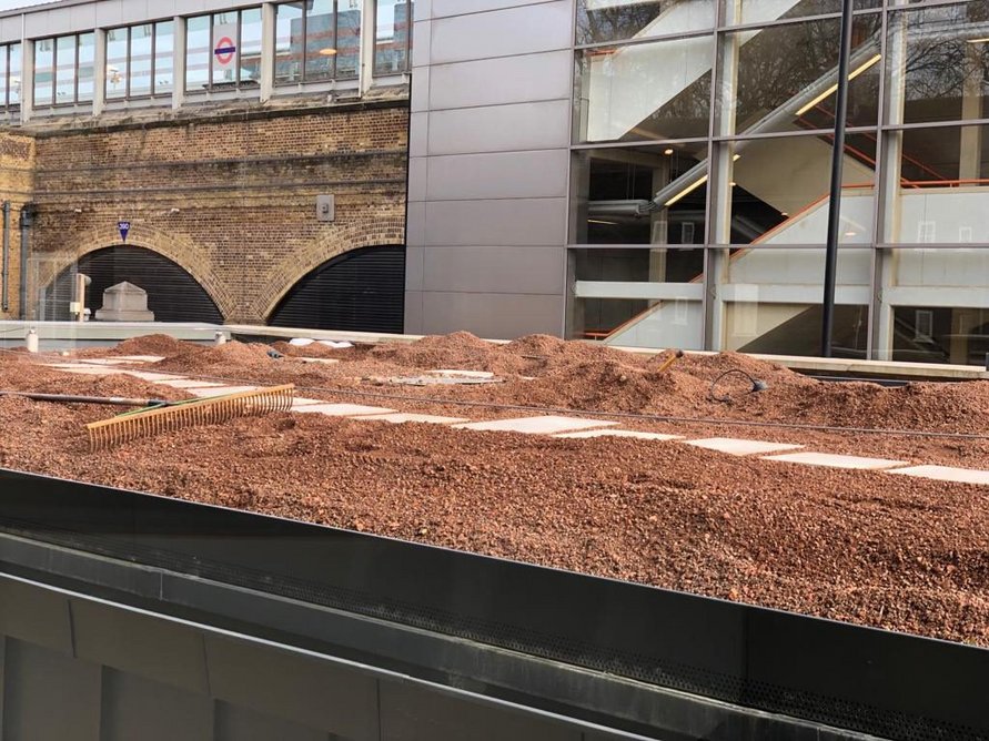 Preparing the green roof for climate-resilient planting on the roof of a new pavilion designed by Wright & Wright at the Museum of the Home.