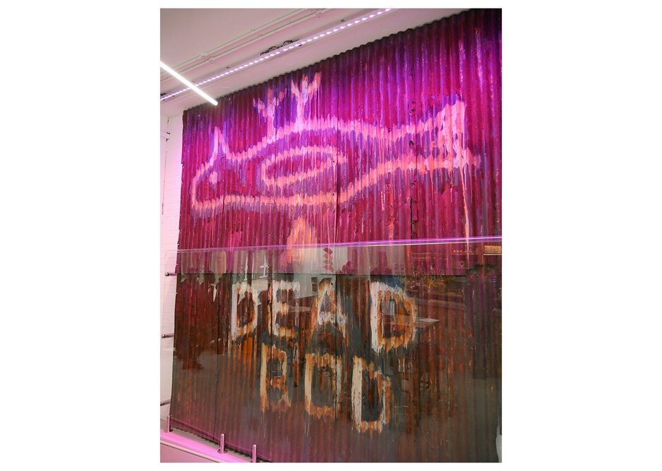 Dead Bod - much loved grafitto is finally brought indoors at Humber Street Gallery.