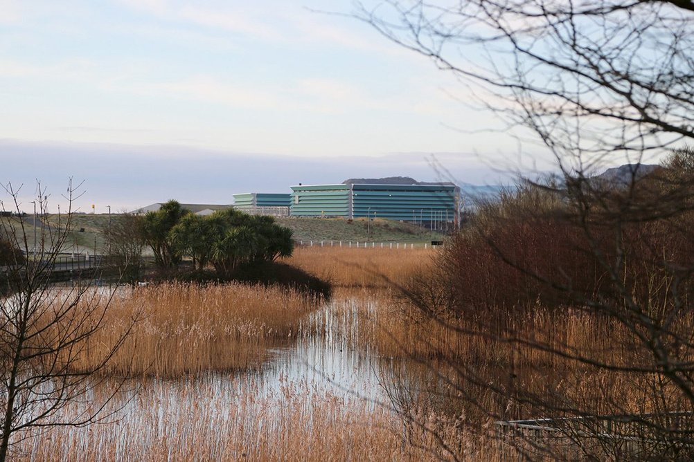 Ecologists of land, river and sea were among the diverse consultant team.