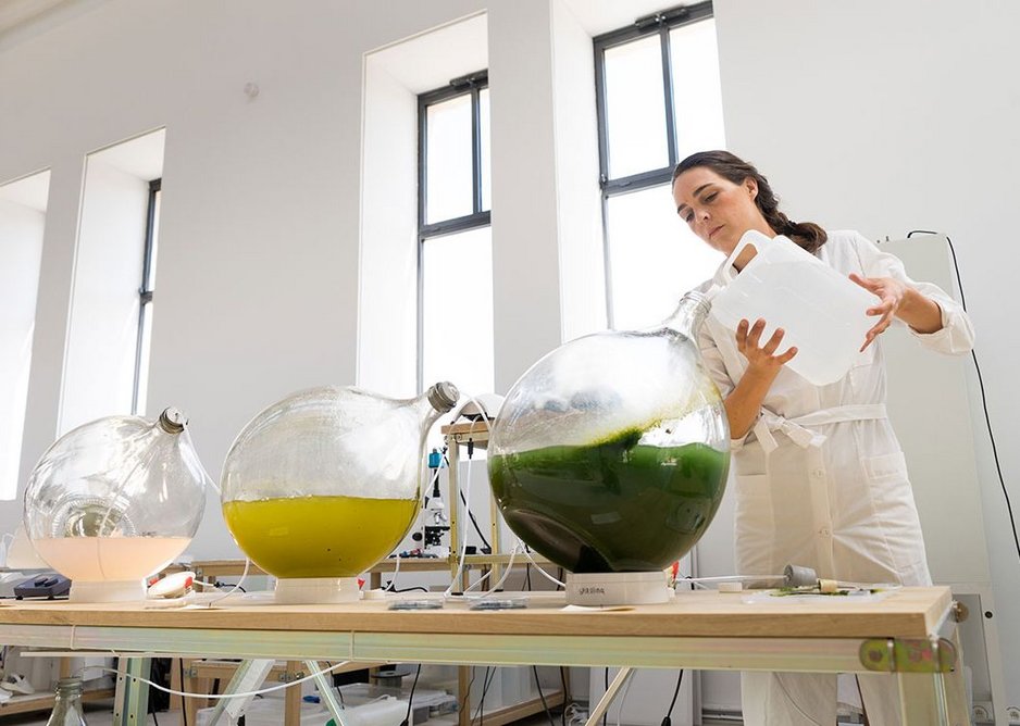Making bioplastic from algae, Studio Klarenbeek & Dros at the Luma Foundation.