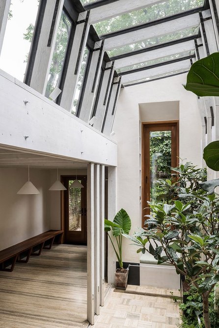 A clerestory draws light inside and lets you look up and out at the tree canopy above.